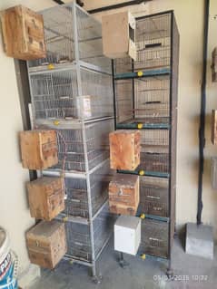 lovebirds cages and breeding boxes for sale