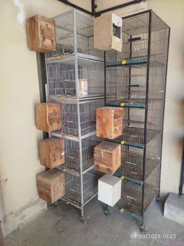 lovebirds cages and breeding boxes for sale 1