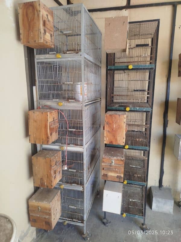 lovebirds cages and breeding boxes for sale 2