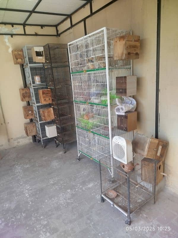 lovebirds cages and breeding boxes for sale 5