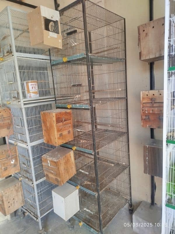 lovebirds cages and breeding boxes for sale 7