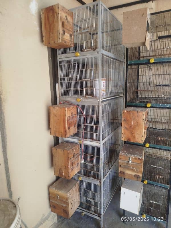 lovebirds cages and breeding boxes for sale 8