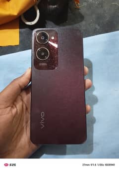 vivo