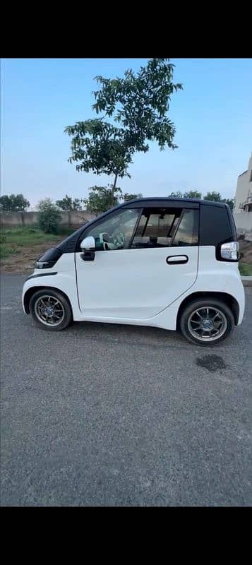 china mini car 2 and 4 seater 17