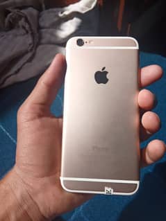 Iphone 6