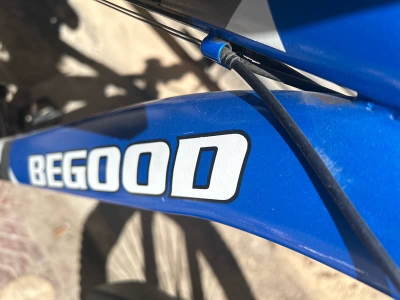 26” BeGooda MTB Imported 3