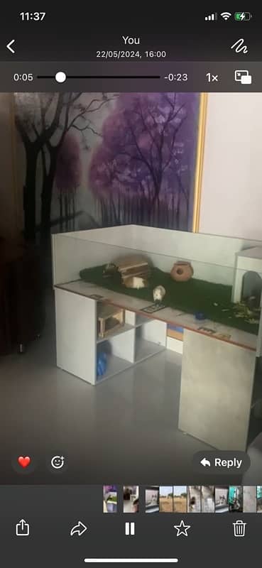 rabbit /  guinea pig house for sale 0