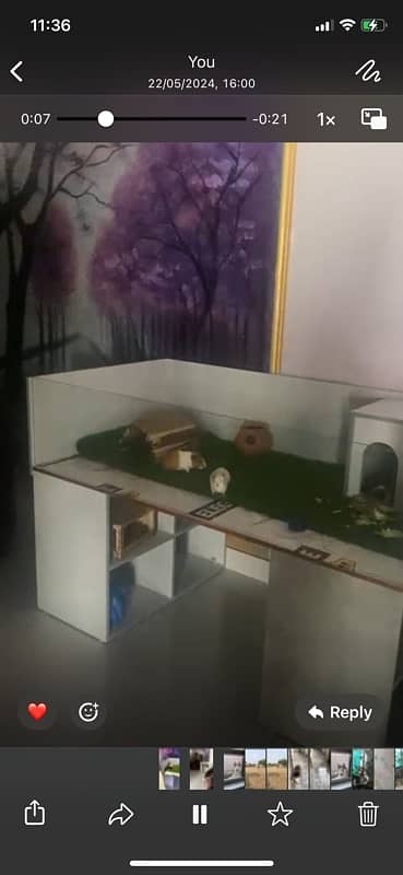 rabbit /  guinea pig house for sale 1