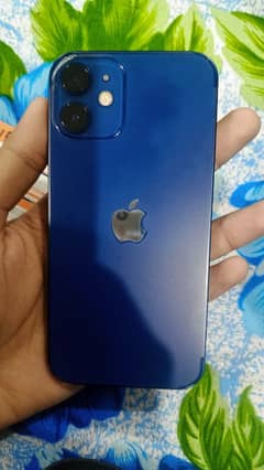 iphone 12 mini 10by10 condition ever