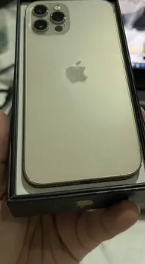 Apple iPhone 12 Pro 1