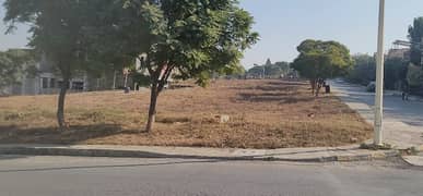 10 Marla Level And Solid Cutting Land Plot For Sale. Dem 1.85 Crore