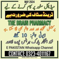 The Brain Pharmacy pe kam k liye larka chahiye