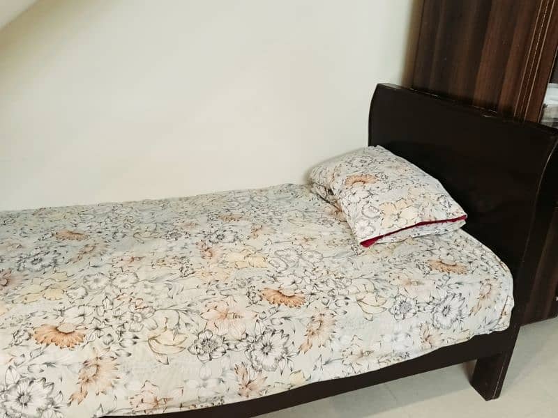 Single bed coffee colour 1