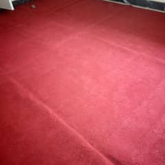 carpet