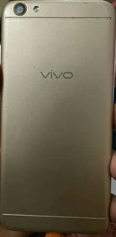 vivo