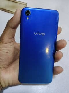 Vivo