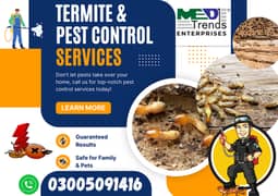 Termite Control - Services in Islamabad,Fumigation,Pest Control,Dengue