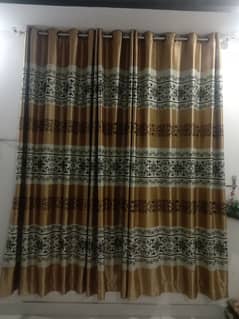 Curtain