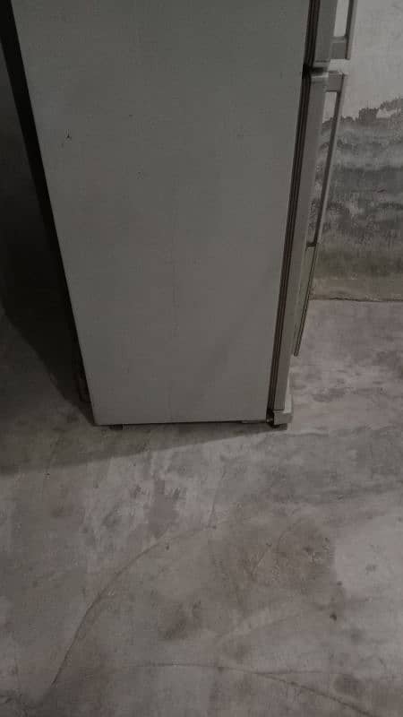 fridge 3