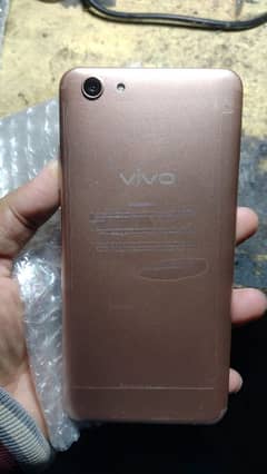 vivo