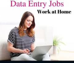 Simple typing job Ms word, Excel home base working for males & females