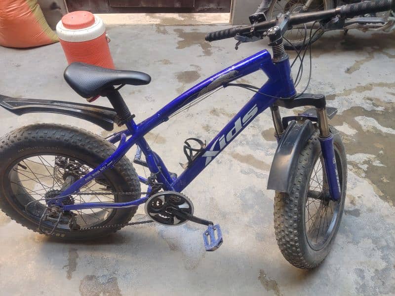 Xids Fat Bicycle 2