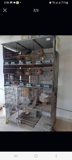 Hen and Birds metel cage.