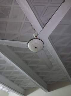 Ceiling Fans sale kar raha hun total 02.