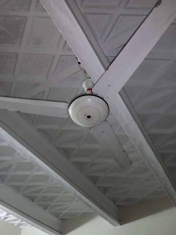 Ceiling Fans sale kar raha hun total 02. 0