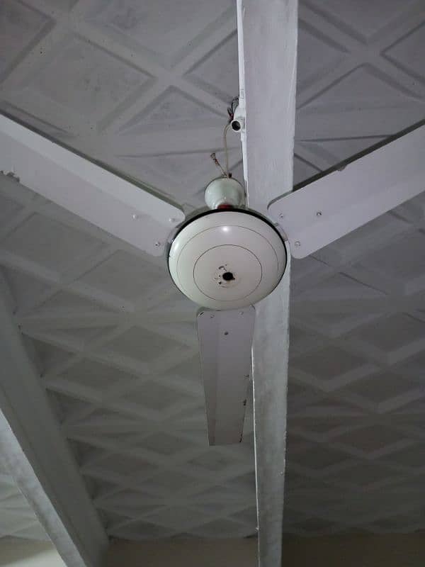 Ceiling Fans sale kar raha hun total 02. 1