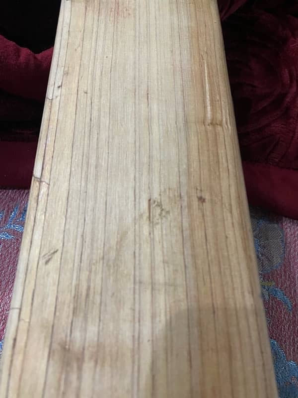 Emglish Willow cricket bat for sale 6