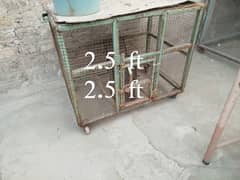 hen cages for sale