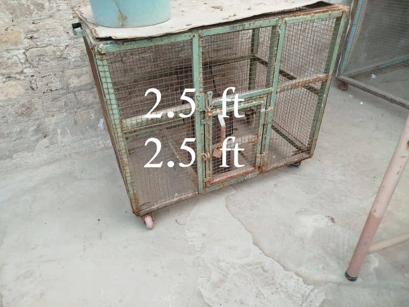 hen cages for sale 0