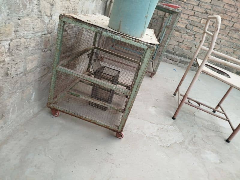 hen cages for sale 1