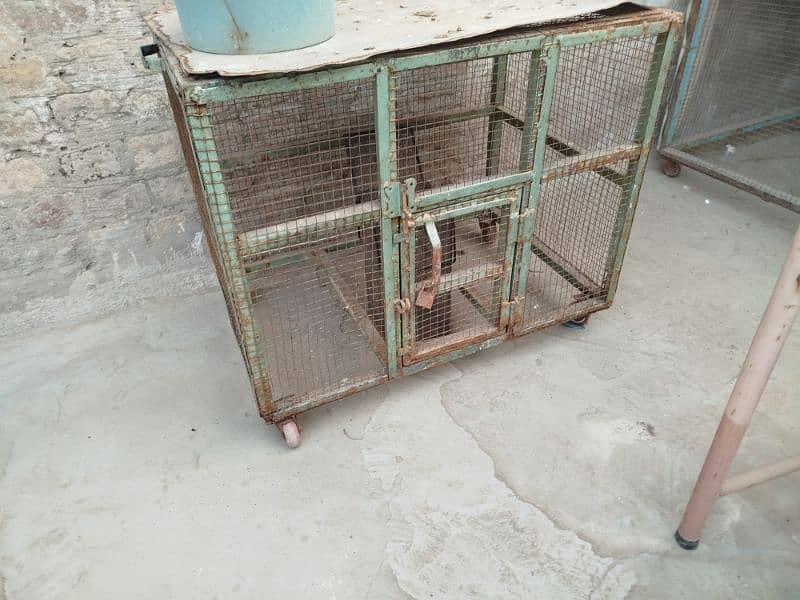 hen cages for sale 2