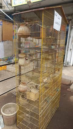 Birds Cage urgent