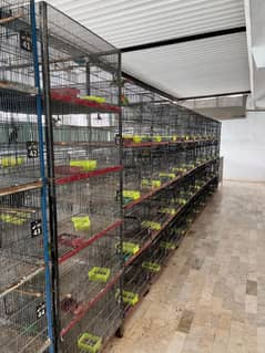 Cages For Sale (Read Full Ad)