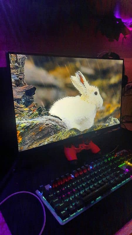 Gaming Pc with gaming monitor 9