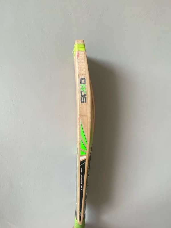 Hard ball bat 2