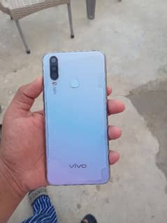 Vivo