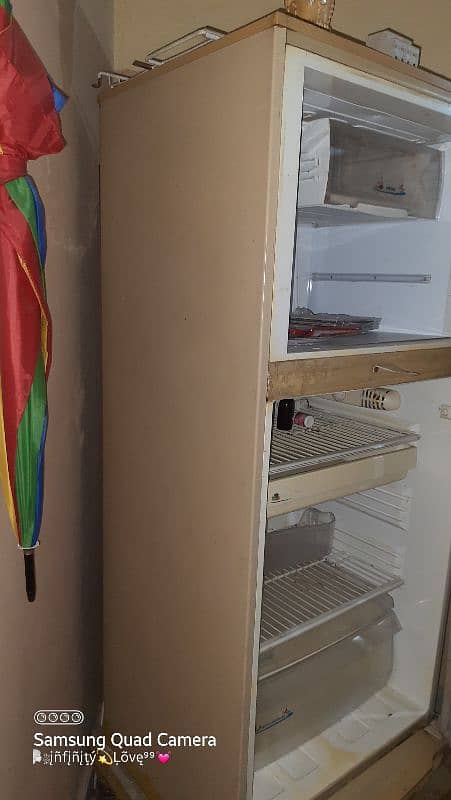 pel Refrigerator 1