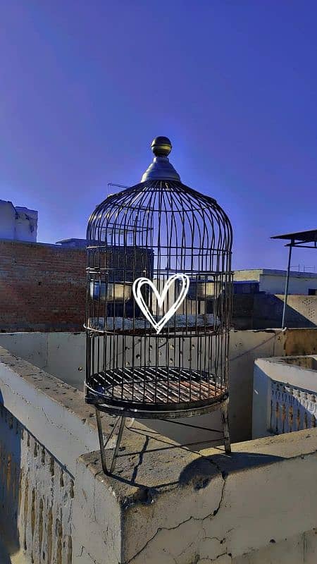 Raw Parrot Cage,Pinjra,Cage,Cages,Bird Cages,Parrot Cage,iron Cage, 1