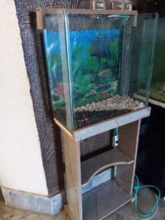 Fish Aquarium 1.5Ft(Brand New)