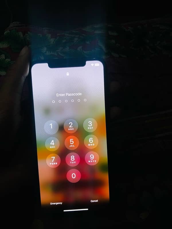 iPhone XS Max 4