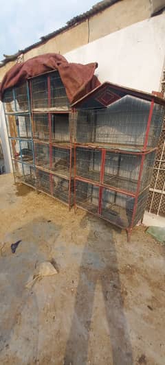 Birds 3 Iron Cage For sell