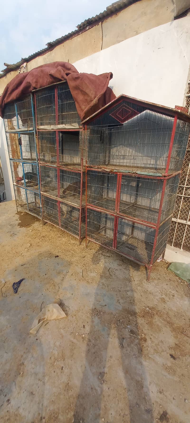 Birds 3 Iron Cage For sell 0