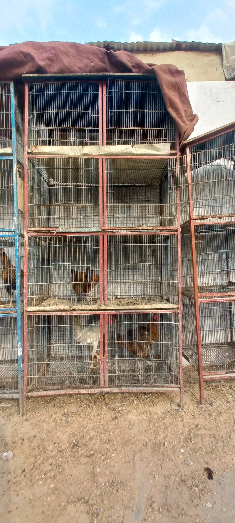 Birds 3 Iron Cage For sell 2