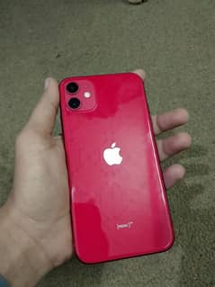 iphone 11 new condition