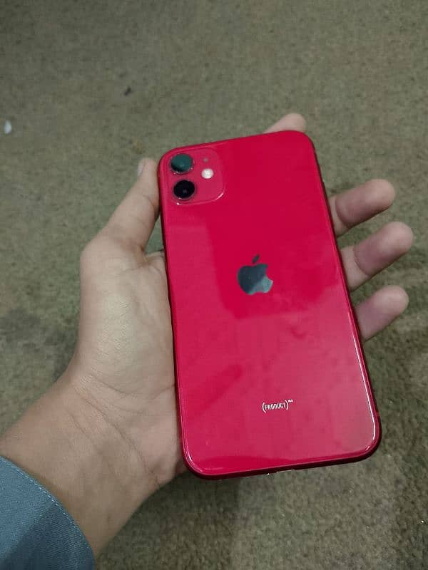 iphone 11 new condition 1