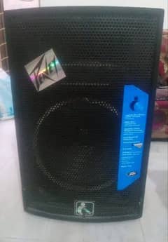 12'' echo sound system & 2nd echo sound system